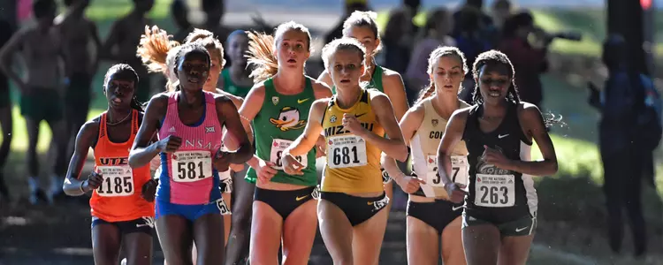 Schweizer at PreNats2017