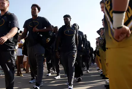 Tiger Walk