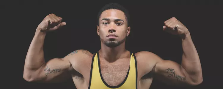 Lewis flex banner