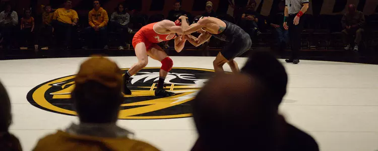 View from the Stands