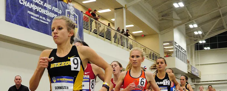 Schweizer SEC 3K Champ 2