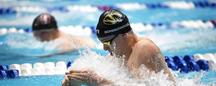 Fabian Schwingenschlogl