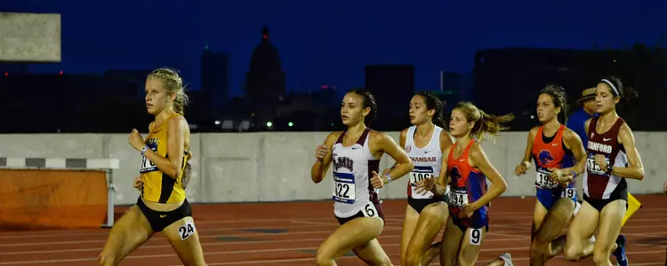 Schweizer Banner - Austin Skyline