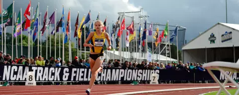 Schweizer NCAATF Banner