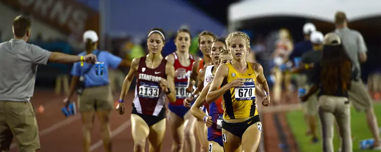 Schweizer NCAA West Banner