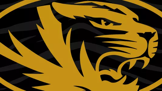 Generic Mizzou Headline photo