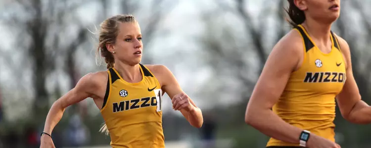 Schweizer Banner Tom Botts