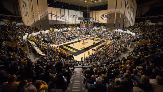 VB Kylie Deberg Transfer Addition