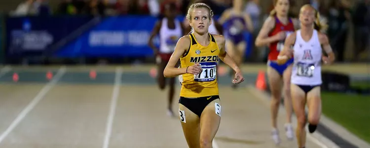 Schweizer NCAA West Banner