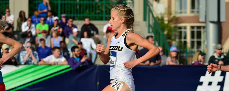 Schweizer 10K Banner