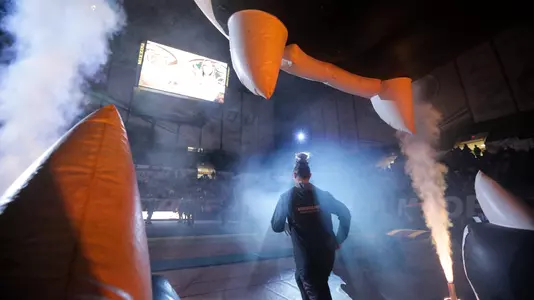 NCAA Women's Gymnastics