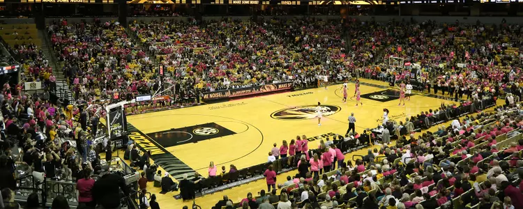 Crowd vs. UT