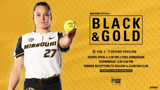 SB- Black & Gold Promo