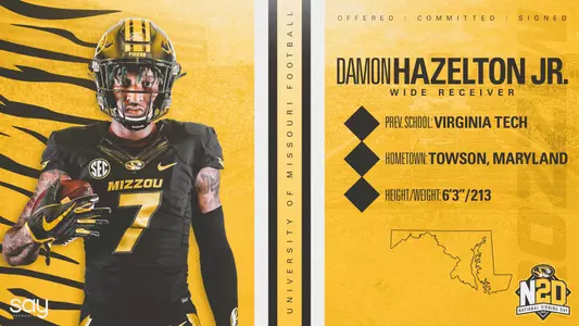 Hazelton, Damon NSD