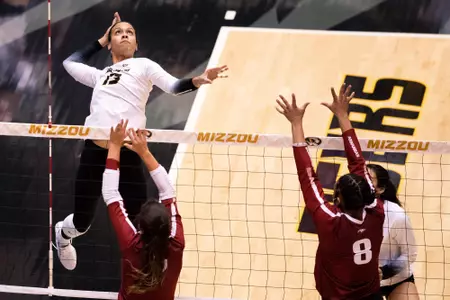 VB Spring 2021 Preview