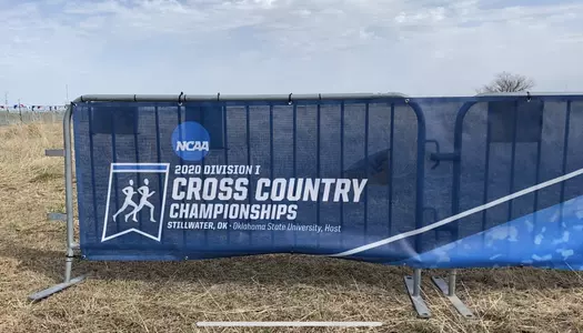 2020 NCAA Cross Country Championsips