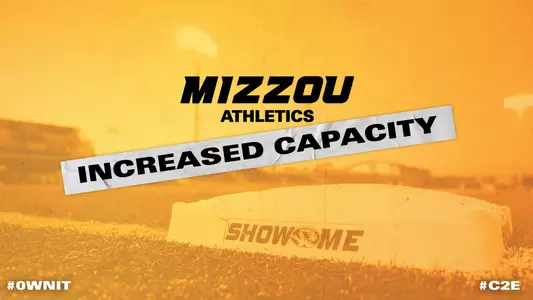 capacity header graphic