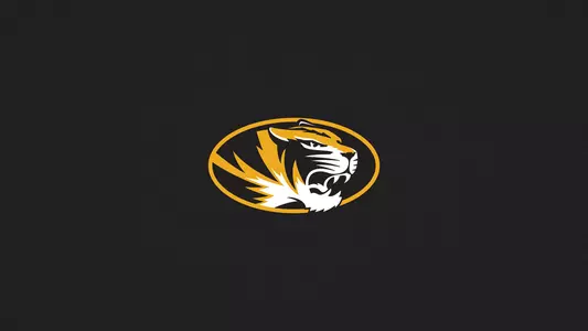 Tigerhead Logo_1920x1080