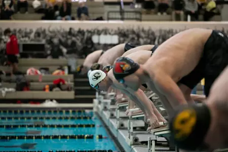 Mizzou Swimming Starting Blocks