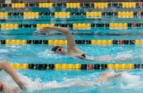 Photo by: Kaylee English
Swim and Dive vs. Tennessee