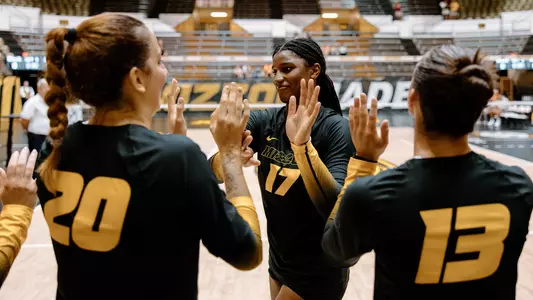 20230812_Black&Gold_VB_0P1A1799_Naomi Franco BANNER