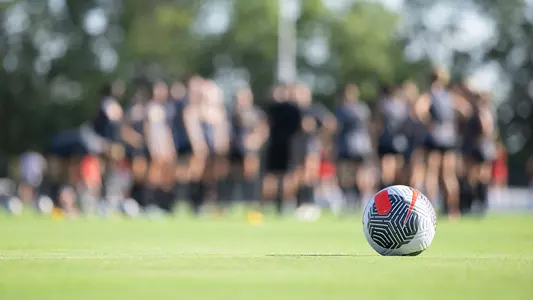 Ball on Field
