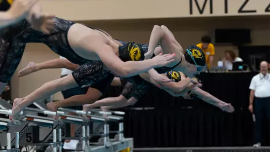 Karolina Bank Black & Gold