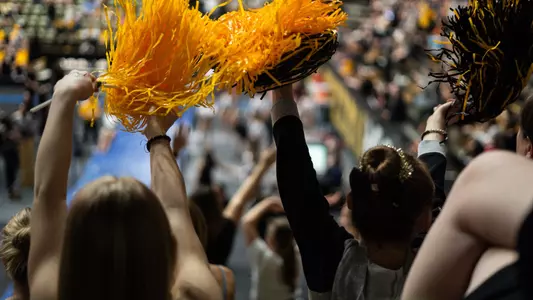 Action shot of fans during a 2024 Missouri gymnastics meet.