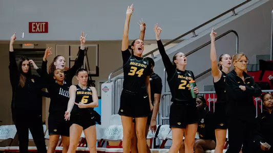 Women's Basketball Celebration