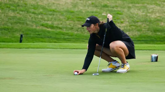 Addie Dobson MountianView Web