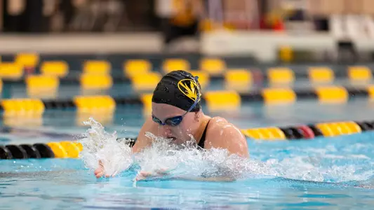 Photo by: Kaylee English
Swim & Dive Tiger Qualifier
2/2-2/3/2024
