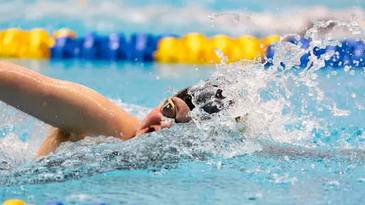 Photo by: Kaylee English
Swim & Dive Southeastern Conference Championships
2/21/2024
