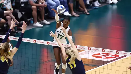 Caylen Alexander_Hawaii BANNER.jpg