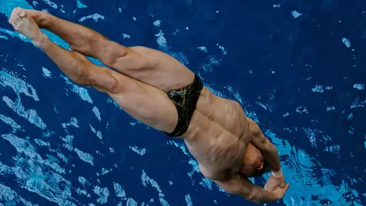 Diving Preview Header