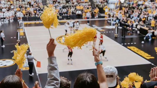 Mizzou vs. Stanford at Hearnes Center