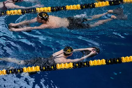 Swimming and Diving SEC Championships Preview