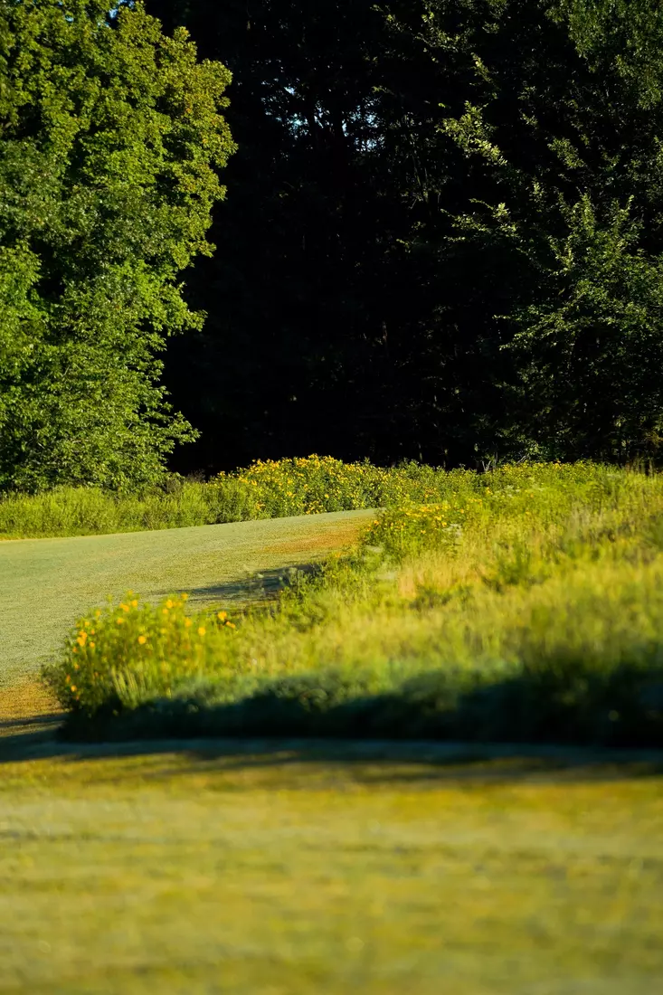 One of the turns of the Gans Creek Cross Country Course.
