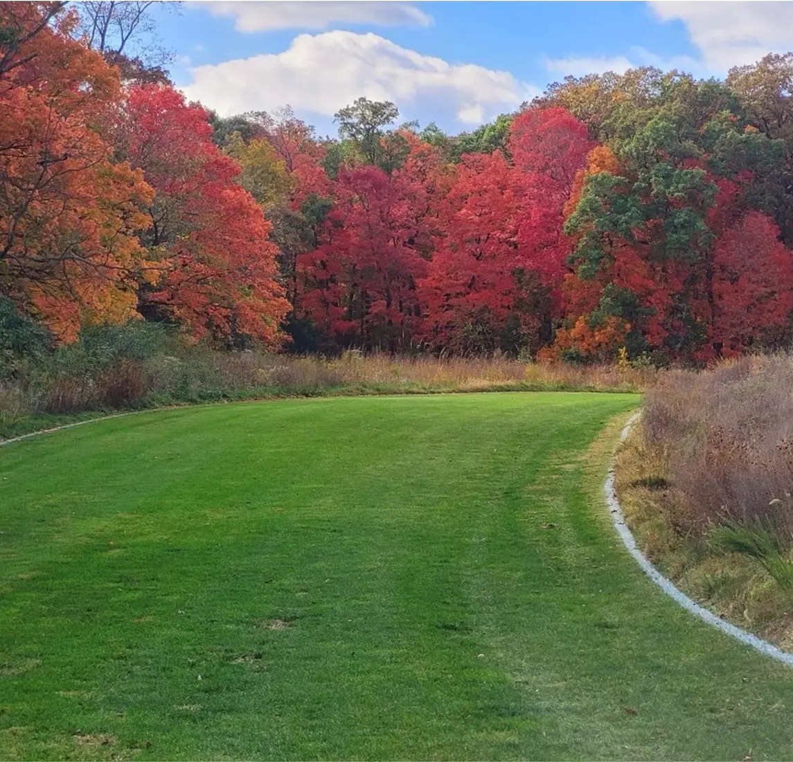 One of the turns of the Gans Creek Cross Country Course.