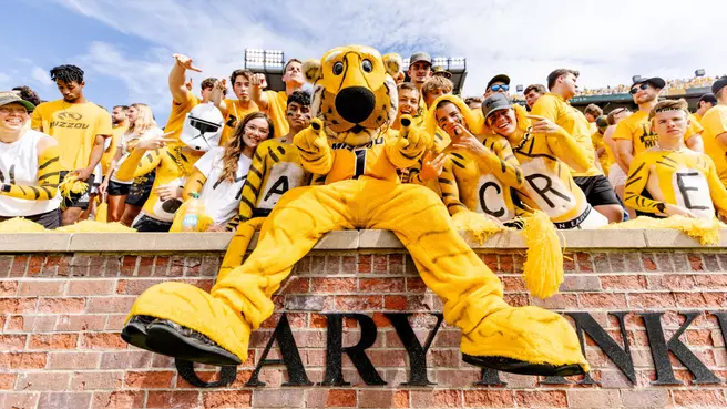 Truman the Tiger