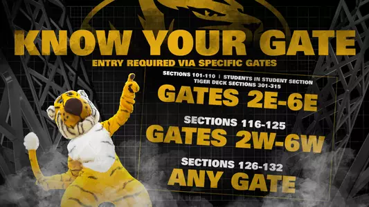 Football Stadium Entry Requirements