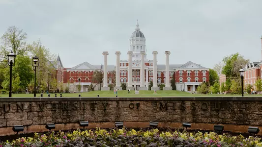 Jesse Hall, Columns, Quad