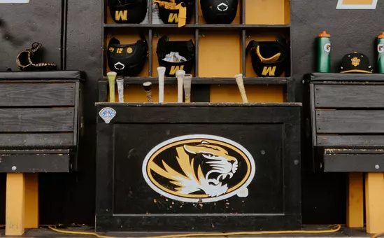 baseball bat rack