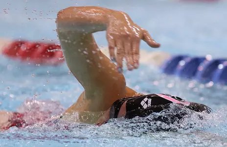 Omaha Drops Dual at Denver, 116-68 - Omaha Athletics