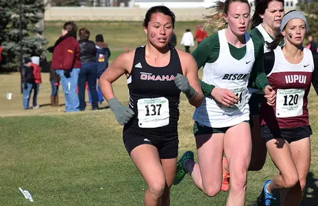 Mavericks Picked Fourth in Pre-Season XC Poll - Omaha Athletics