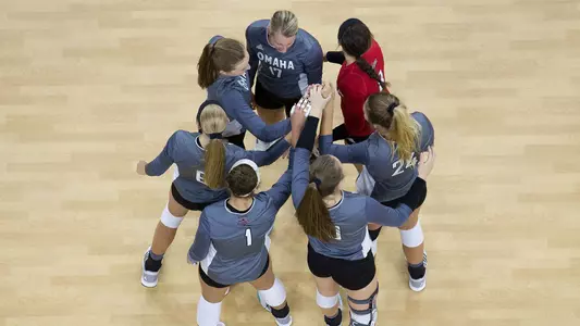 Volleyballl team celebration