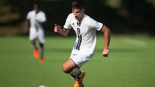 Elvir Ibisevic