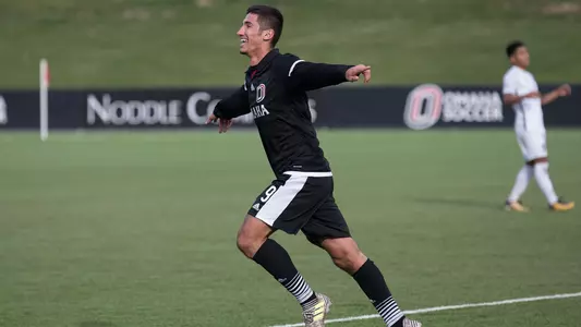 Elvir Ibisevic