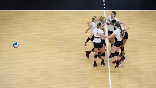 Volleyballl team celebration