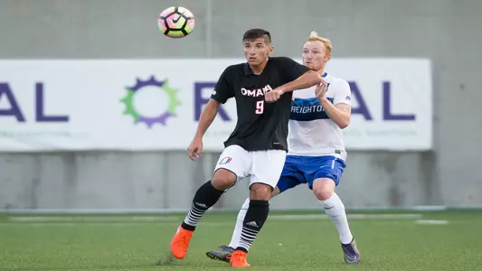 Elvir Ibisevic