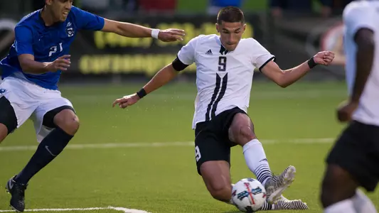 Elvir Ibisevic